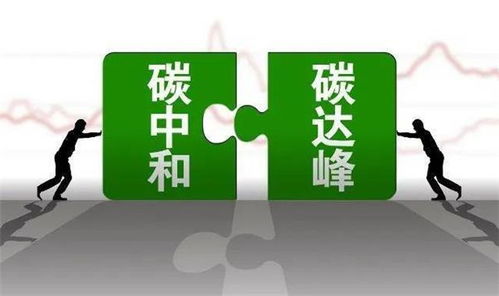 特别提碳权 srct 重亲定义能源行业新高度